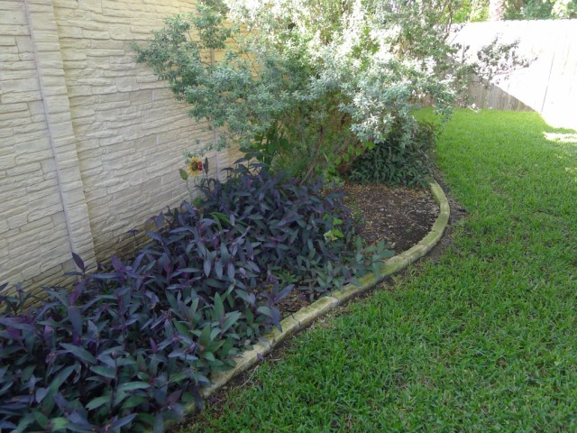 9336 Bernoulli -large picture - back flower bed