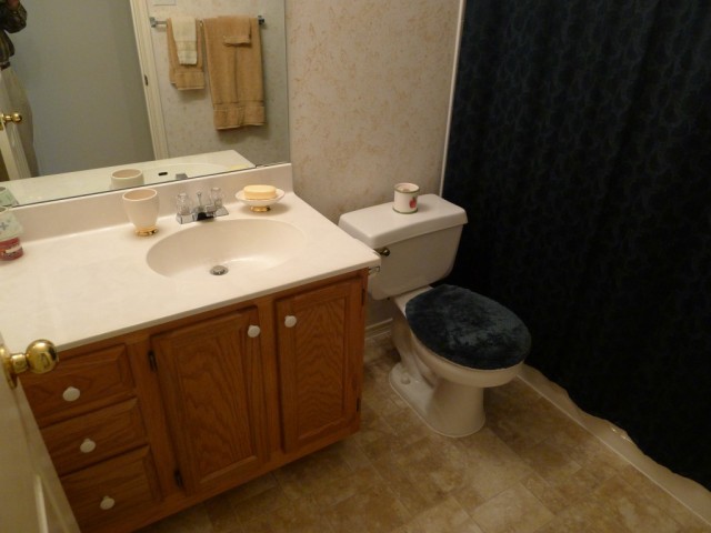 9336 Bernoulli -large picture - second bath